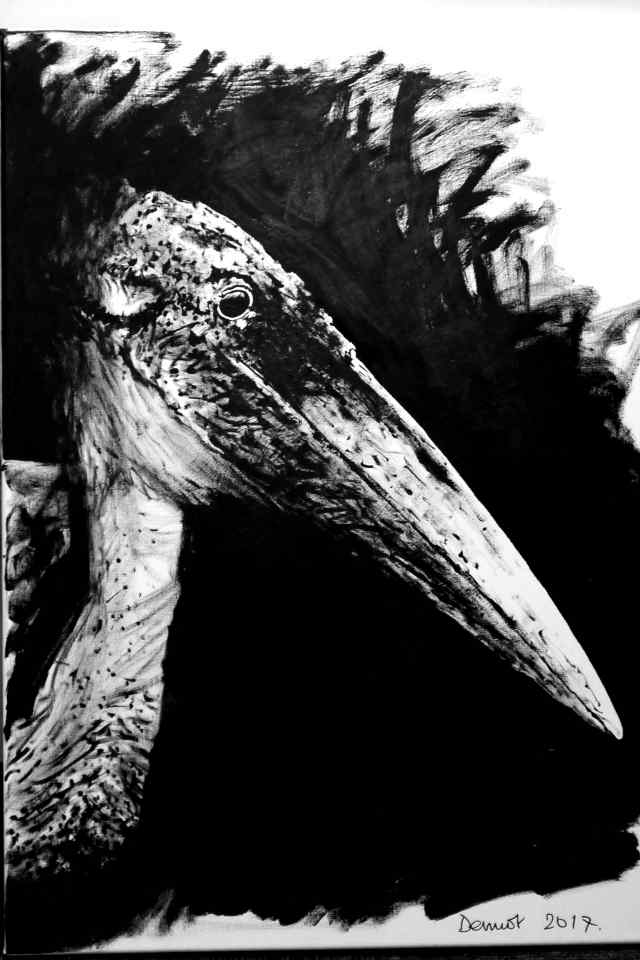 Pelican