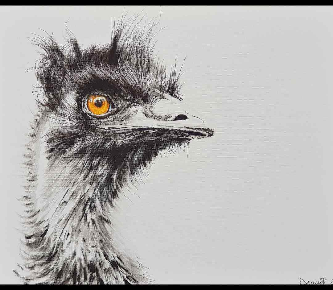 Painting Of An Ostrich For Sale Dermot De Courcy